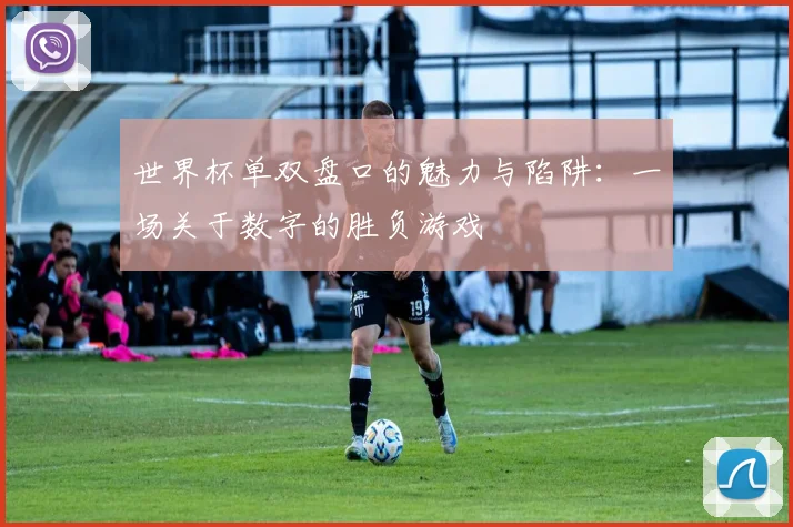 世界杯单双盘口的魅力与陷阱：一场关于数字的胜负游戏