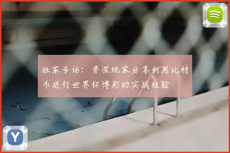 独家专访：资深玩家分享利用比特币进行世界杯博彩的实战经验