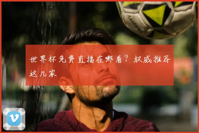 世界杯免费直播在哪看?权威推荐这几家