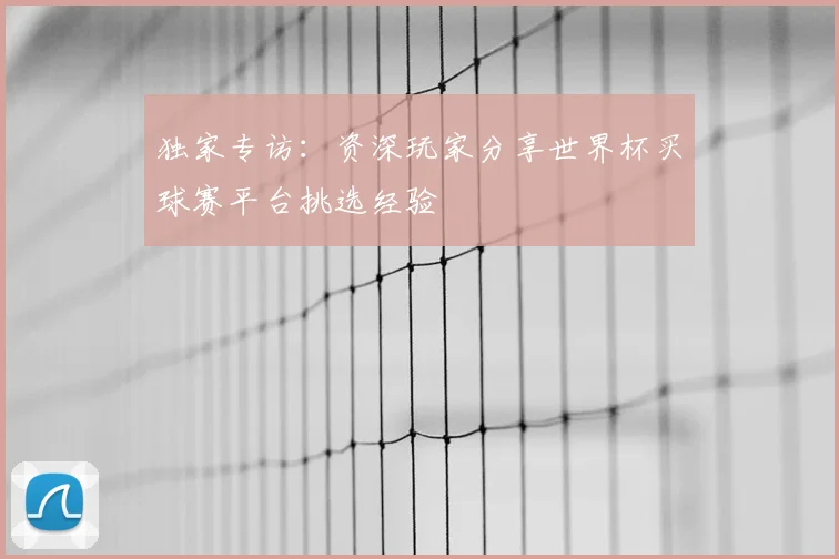 独家专访：资深玩家分享世界杯买球赛平台挑选经验