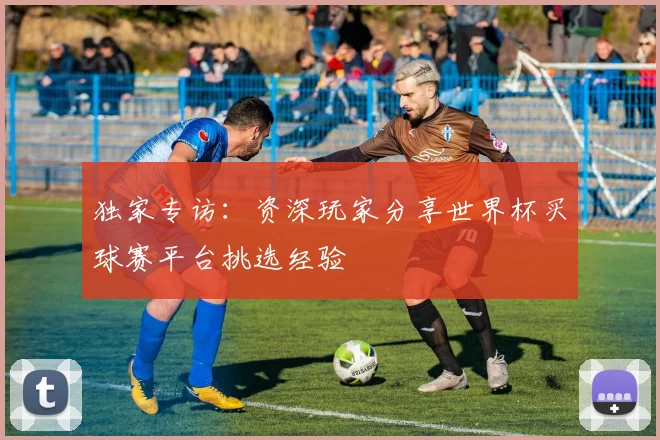 独家专访：资深玩家分享世界杯买球赛平台挑选经验