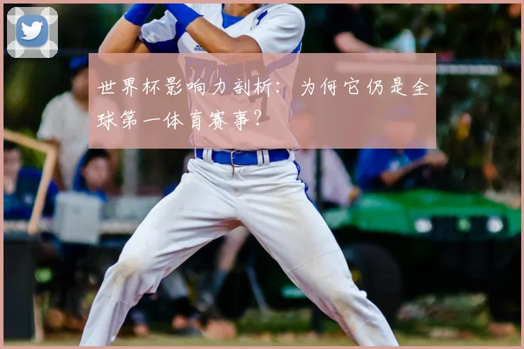 世界杯影响力剖析：为何它仍是全球第一体育赛事？
